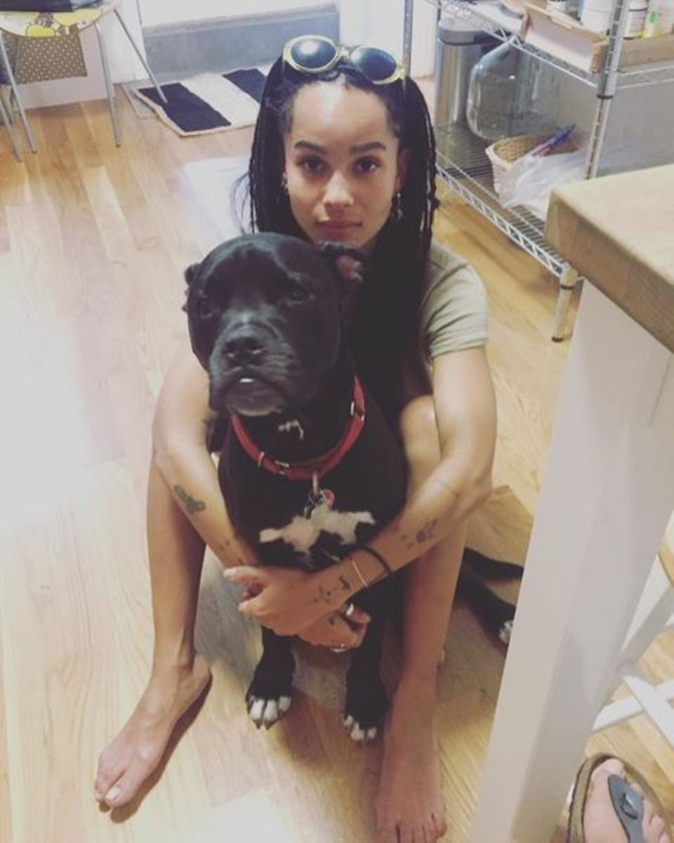 "Meiner", kommentiert Zoe Kravitz liebevoll dieses Porträt.
