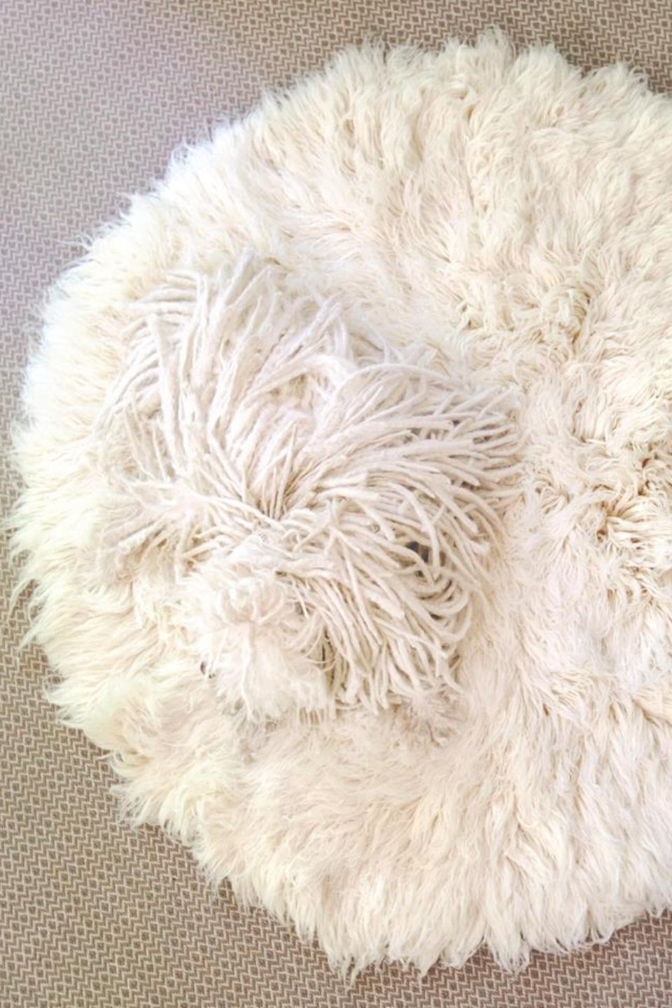 In diesem Bild hat sich ein Hund versteckt: Mark Zuckerberg teilt auf Facebook ein Bild seines wuscheligen Vierbeiners.