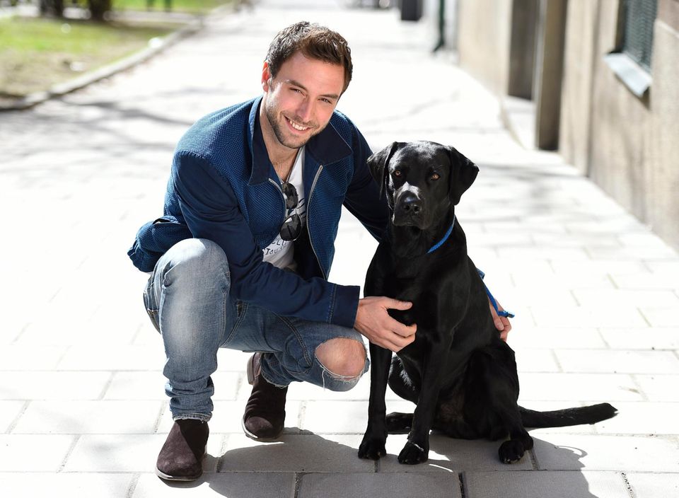 Hero mit Hund: ESC-Sieger Måns Zelmerlöw stellt beim Fototermin in Stockholm seinen Hund namens Messi vor.