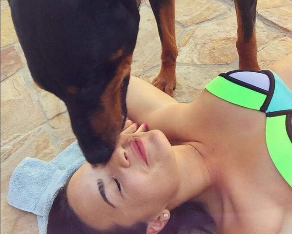 Demi Lovato trauert um ihren verstorbenen Hund.