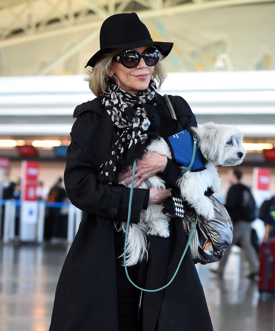 Jane Fonda kommt inkognito mit Sonnenbrille und Hut am JFK Flughafen in New York an und trägt ihre Malteser Hündin lässig auf dem Arm.