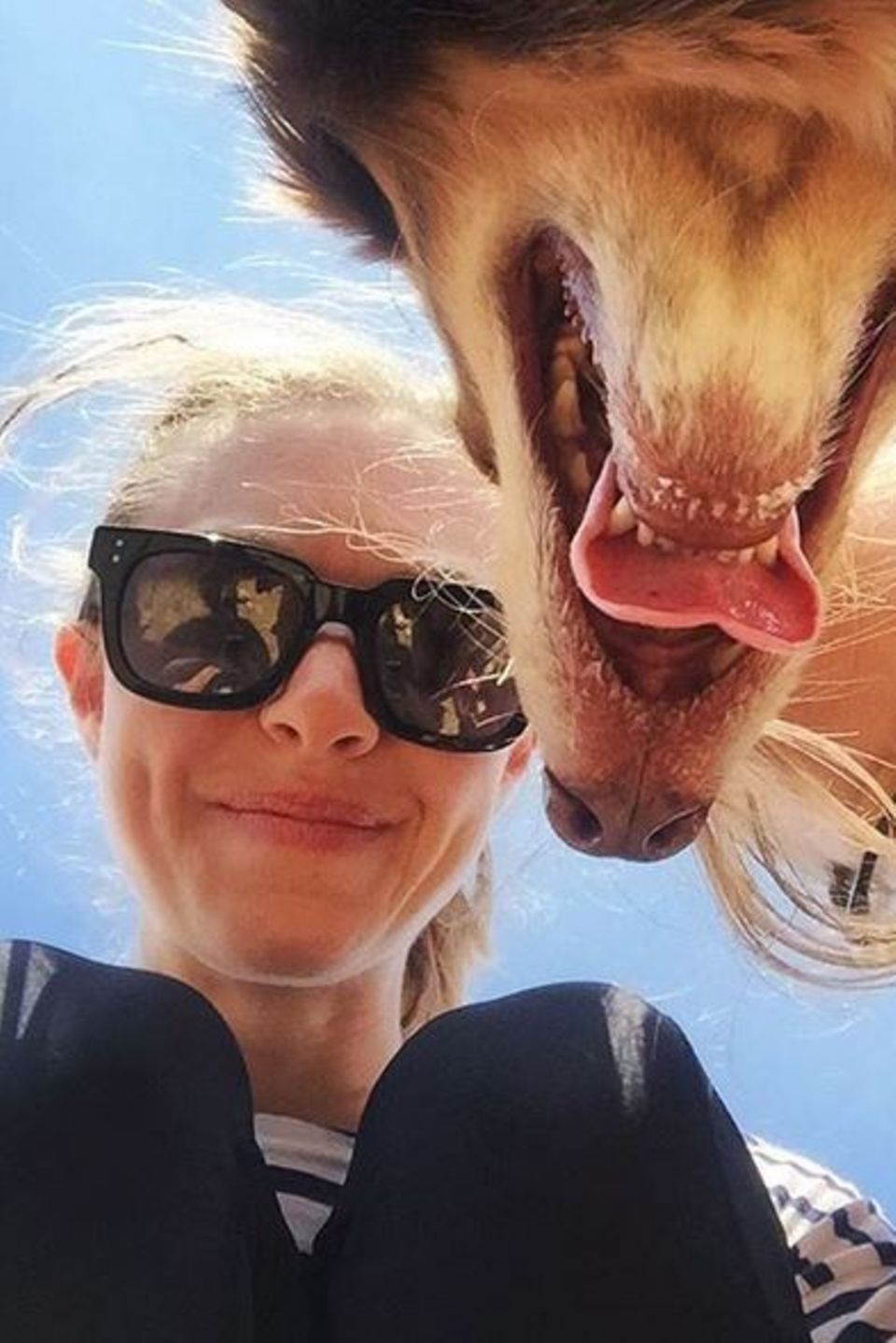 Natürlich postet Amanda Seyfried am nationalen Haustiertag ein Selfie mit ihrem geliebten Hund Finn.