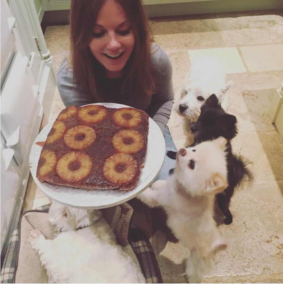 Geri Halliwell freut sich über ihren gelungenen Ananaskuchen. Ihr Hunderudel möchte auch mal kosten. Geri Halliwell freut sich über ihren gelungenen Ananaskuchen. Ihr Hunderudel möchte auch mal kosten.