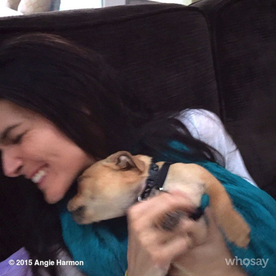Angie Harmon wünscht ihrem kleinen Hund einen fröhlichen "National Puppy Day". Der möchte sich dafür auch direkt bedanken.