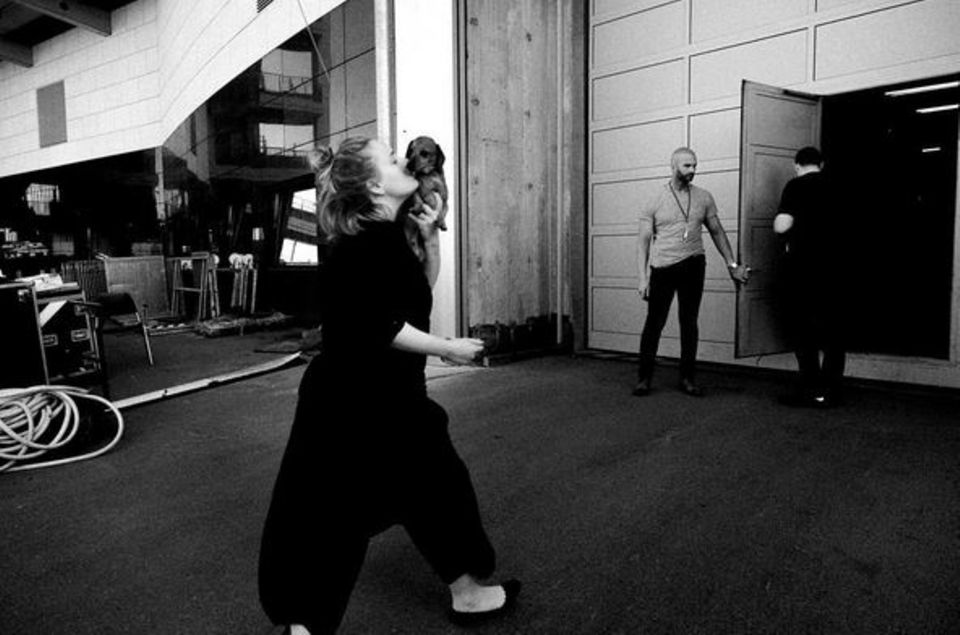 Knuuutsch! Adele hat ihren Hund beim Konzert in Berlin mit dabei. Knuuutsch! Adele hat ihren Hund beim Konzert in Berlin mit dabei.
