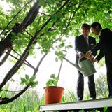 22. Juni 2011: Gemeinsam bewässern Bundespräsident Christian Wulff und Japans Kronprinz Naruhito einen Kirschbaum im Schlossgart