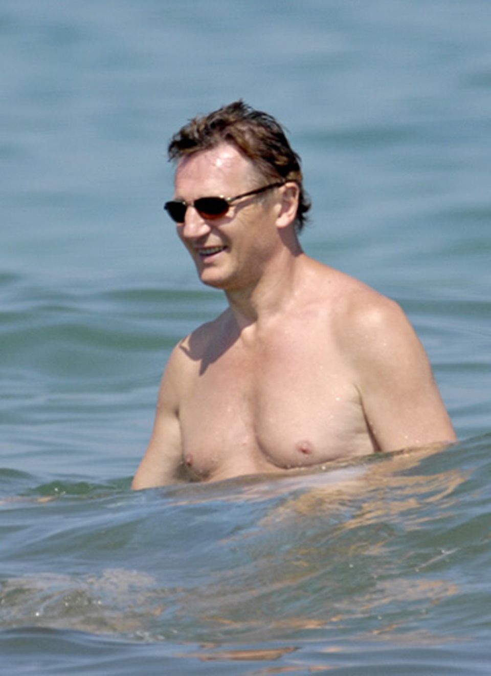 Der irische Schauspieler Liam Neeson als Wasserratte