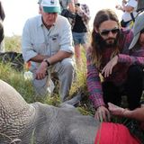 Jared Leto setzt sich zum Schutz der Nashörner in Afrika ein.
