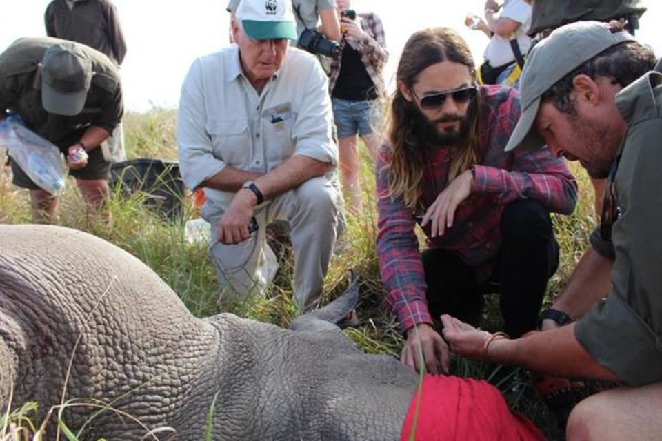 Jared Leto setzt sich zum Schutz der Nashörner in Afrika ein.