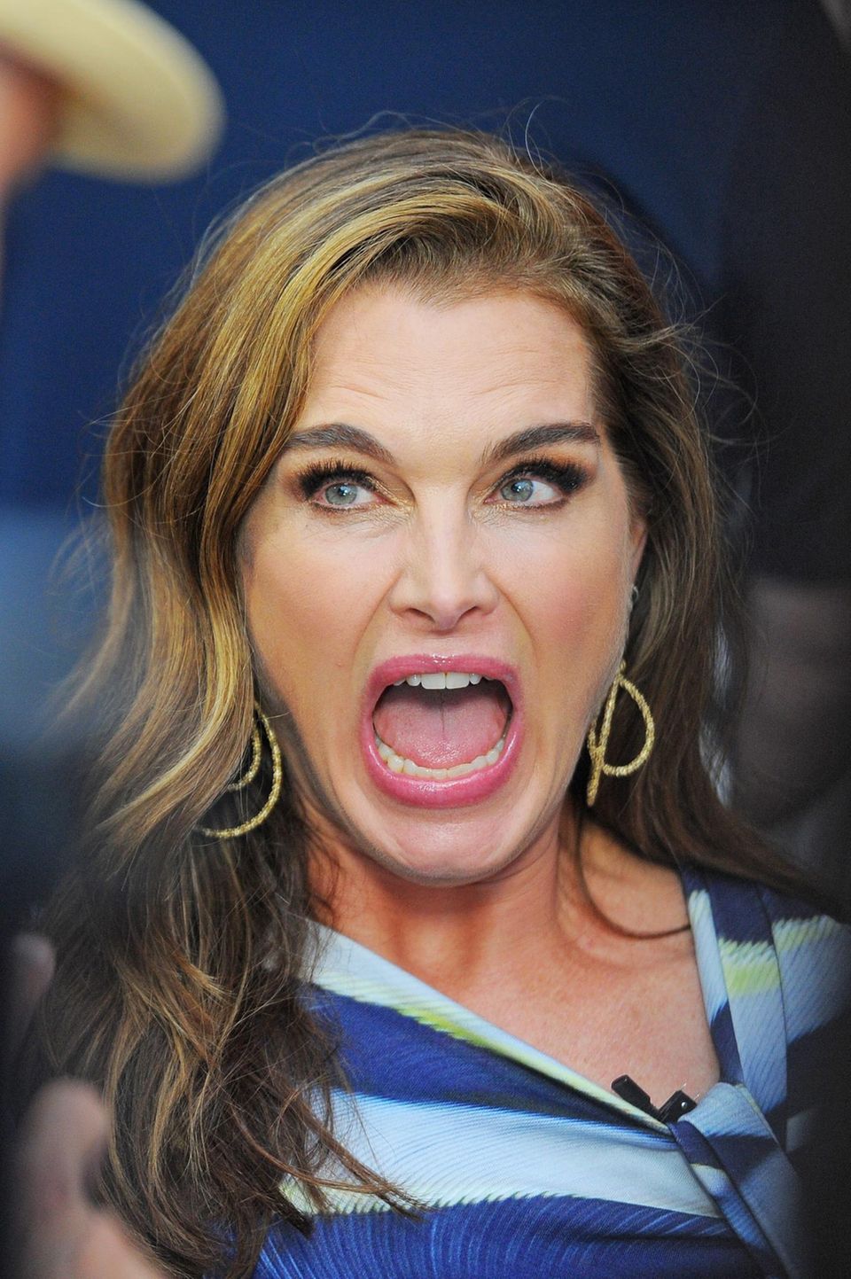 Brooke Shields Starporträt News Bilder Galade 