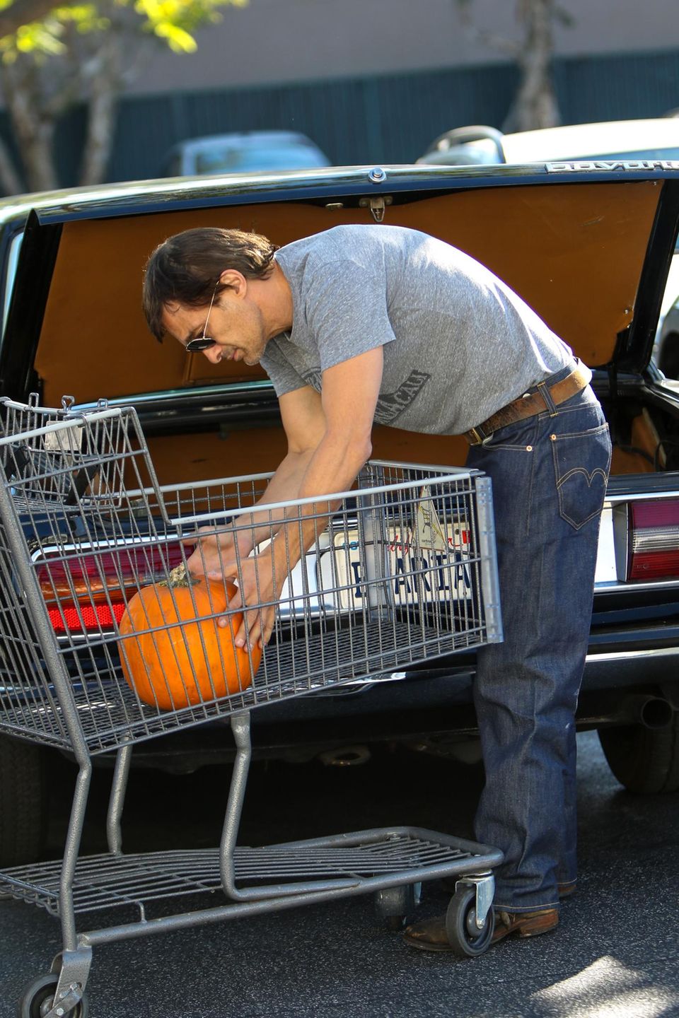 Olivier Martinez lädt einen großen Kürbis in den Einkaufswagen. Olivier Martinez lädt einen großen Kürbis in den Einkaufswagen.