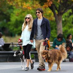 16. Oktober 2013: Amanda Seyfried und Justin Long gehen mit ihren Hunden im New Yorker Washington Square Park Gassi.