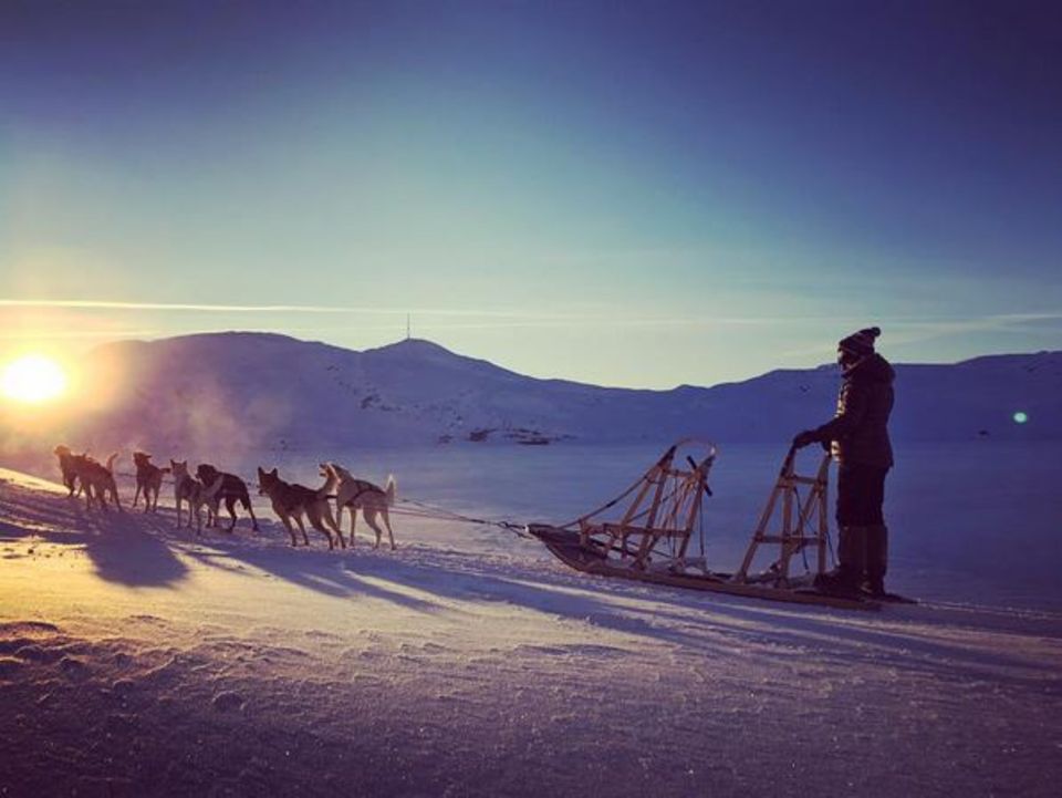 Die Sängerin Ellie Goulding erkundet per Hunde-Schlitten die norwegischen Weiten. Gut, dass die Hunde wissen wo es lang geht. Die Sängerin Ellie Goulding erkundet per Hunde-Schlitten die norwegischen Weiten. Gut, dass die Hunde wissen wo es lang geht.