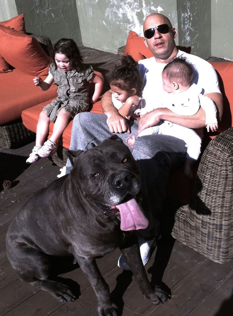 Challenge accepted! Vin Diesel überzeugt auch privat als Actionheld. Lässig mit Sonnenbrille bändigt er nicht nur seine drei Kinder, sondern auch gleich den Familienhund.