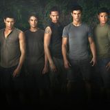 Die Werwölfe auf einen Blick: Paul (Alex Meraz), Embry (Kiowa Gordon), Sam (Chaske Spencer), Jacob (Taylor Lautner) und Jared (B