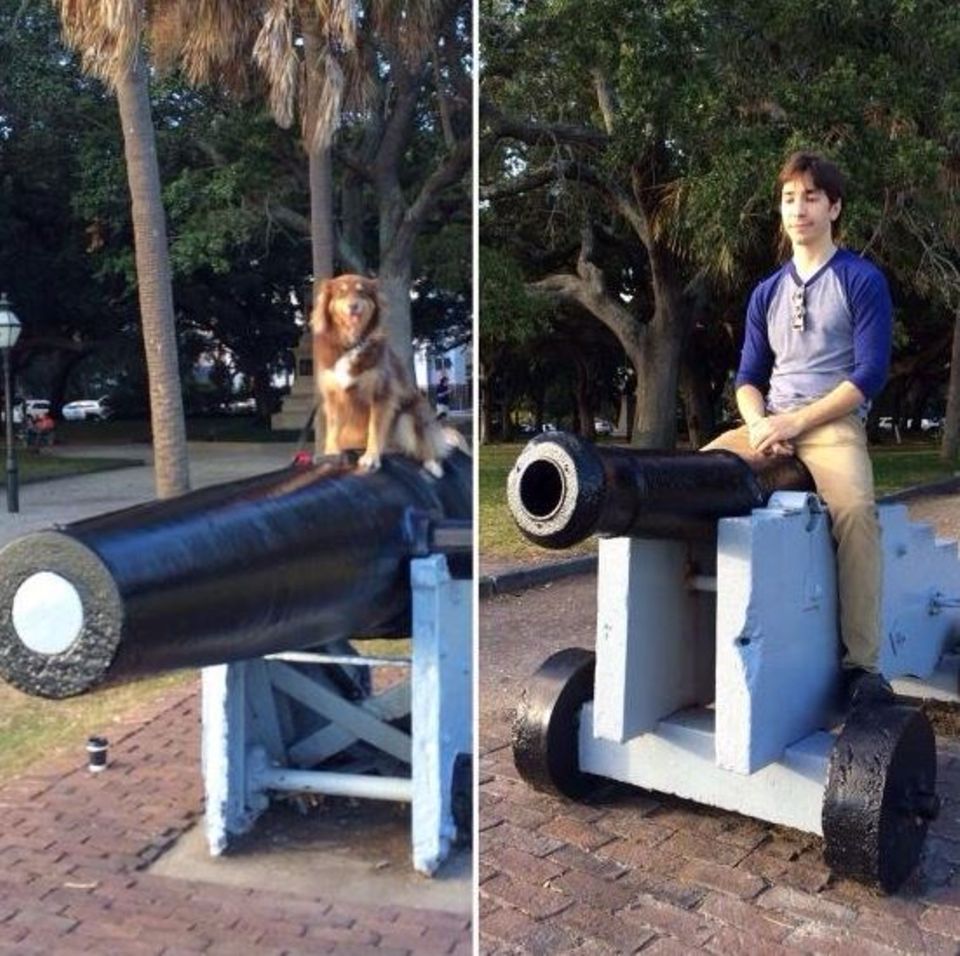 November 2013  Justin Long ist zu Scherzen aufgelegt und posiert mit dem Hund von Amanda Seyfried auf einer Kanone.