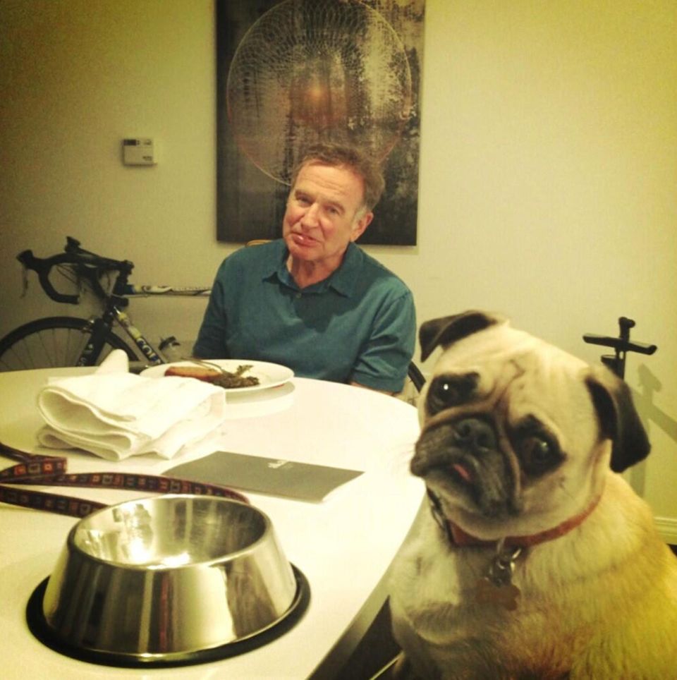 Wie der Hund so das Herrchen: Robin Williams isst mit seinem Hund Leonard zu Abend. Wie der Hund so das Herrchen: Robin Williams isst mit seinem Hund Leonard zu Abend.