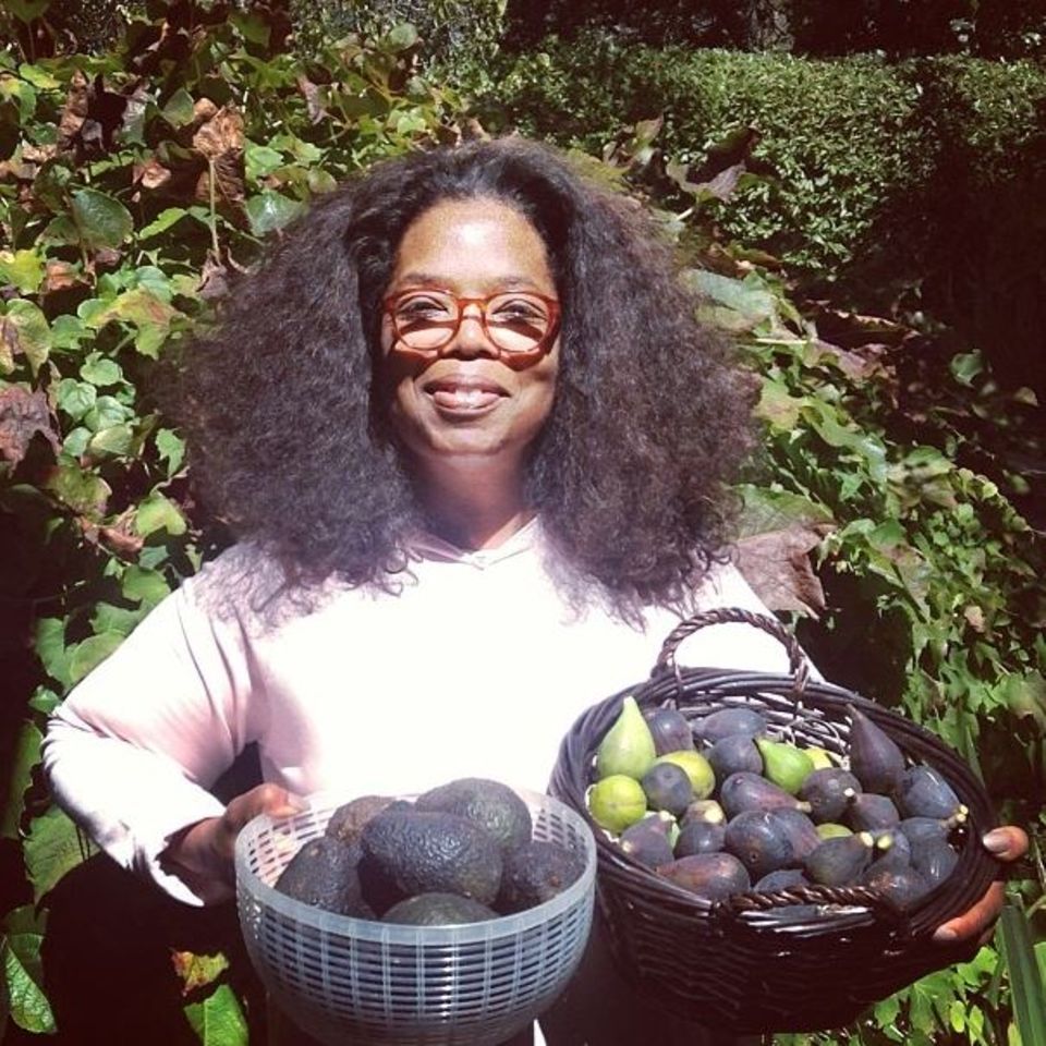 September 2013  Stolz präsentiert Oprah Winfrey ihre selbst geernteten Feigen und Avocados.
