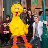 Dezember 2013  Na, wer ist wohl größter Fan von "One Direction"? Genau, Bibo aus der Sesamstraße!