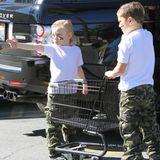 24. Februar 2013  Zuma und Kingston haben es auf dem Parkplatz eines Supermarktes auf einen Fotografen abgesehen.