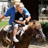 4. Juli 2013  Am Independence Day geht Mama Gwen mit Kingston und Zuma zum Reiten in den Griffith Park in Los Angeles. Einer ihrer Söhne hat dabei allerdings offenbar mehr Spaß als der andere.