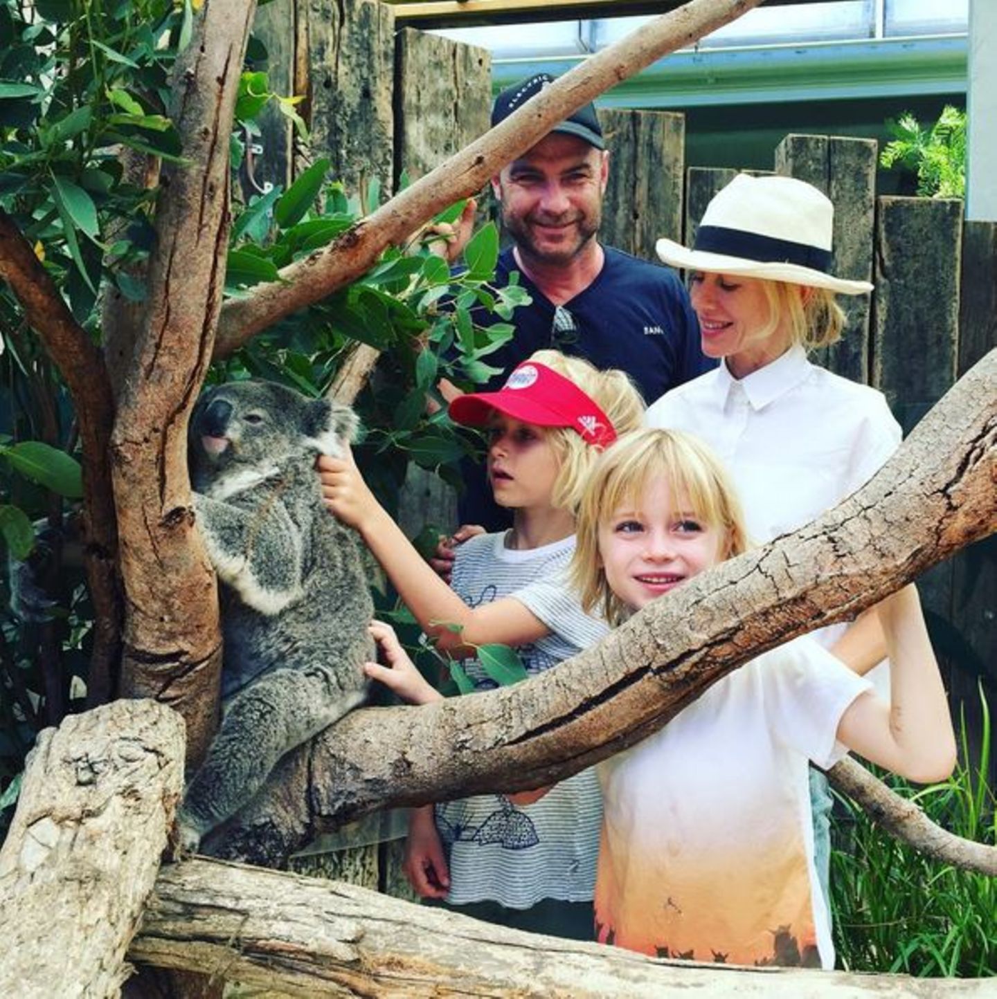 Liev Schreiber und Naomi Watts besuchen mit ihren Jungs den Toronga Zoo in Sydney.