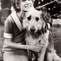 Im Alter von zwölf Jahren ergatterte Sarah Jessica Parker eine Nebenrolle in dem Broadwaymusical »Annie«.