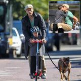 15. September 2013  Männertag: Tom Brady verbringt den Tag mit Sohn Jack in Boston. Nach der Fahrt mit dem Roller geht es auf den Spielplatz.