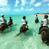 9. August 2015: Heidi Klum macht mit ihren Kindern einen ungewöhnlichen Ausflug hoch zu Pferd.