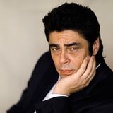 Geburtstage Februar: Benicio del Toro - 19.02. (44 Jahre)