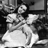 Elizabeth Taylor: Courage of Lassie (Held auf vier Pfoten) 1946