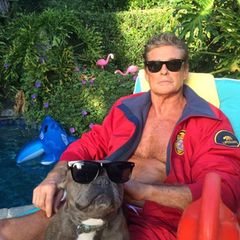 "The Hoff" posiert für ein cooles Foto mit seinem vierbeinigen Kumpel.