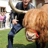 David Hasselhoff: Gut Aiderbichl