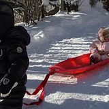 Spaß im Schnee: Monroe weiß schon, wie sich eine echte Diva im Schnee fortbewegt und lässt sich von Bruder Moroccan ziehen.