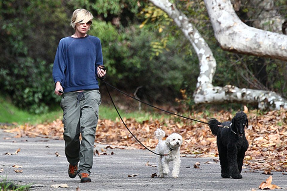 13. Dezember 2012: Portia de Rossi führt ihre beiden Hunde in einem Park in Beverly Hills aus.