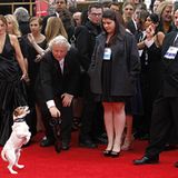 Jack-Russell-Terrier Uggie zeigt auf dem roten Teppich, was er kann. Als tierischer Darsteller in "The Artist" hatte er schon be