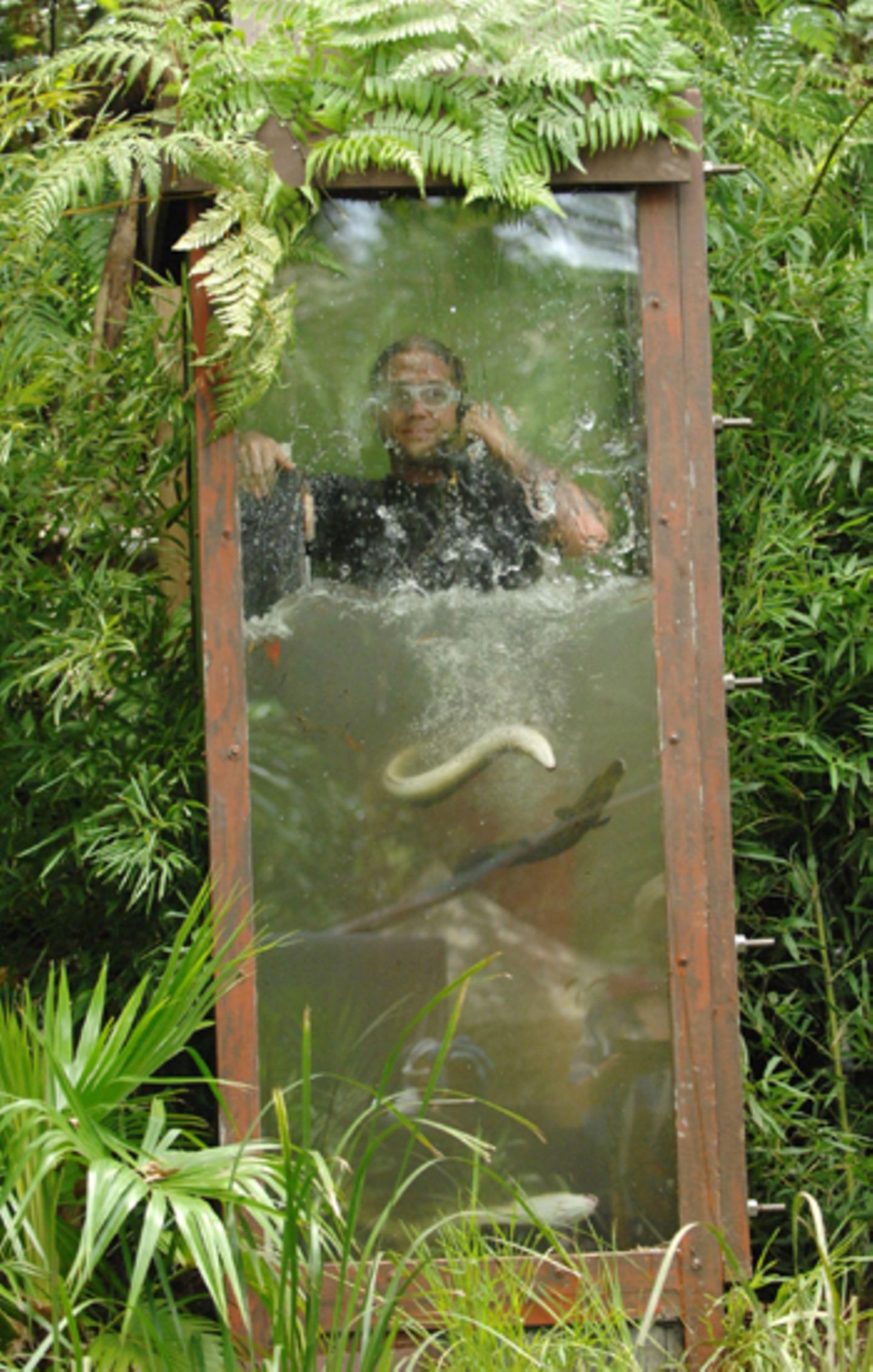 Am siebten Tag haben die Zuschauer Martin Kesici zur Dschungelprüfung erkoren. Obwohl er Angst vor Wasser hat, lässt sich der Be
