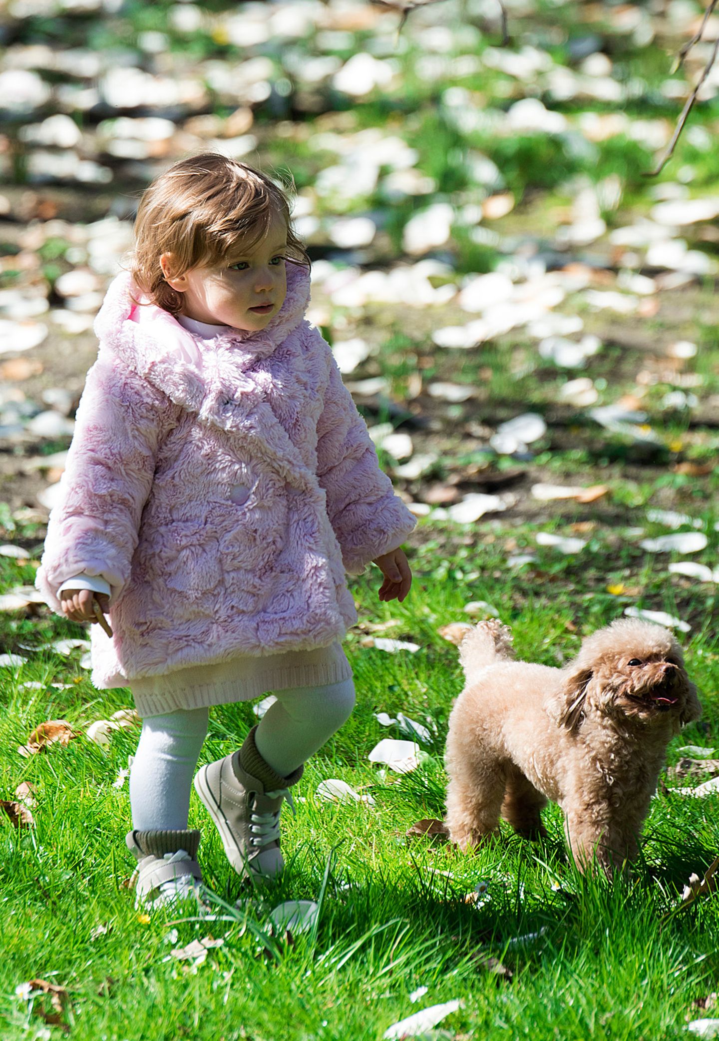 Auch wenn der Frühling in Mailand Einzug hält, mit ihrem rosafarbenen Kuschel-Mäntelchen und hohen beige-khakifarbenen Sneakern ist Sole Trussardi beim Spielen im Park noch schön warm eingepackt.