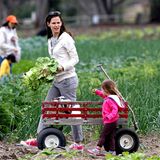 Mit ihren Töchtern erntet Jennifer Garner bei "Underwood Familie Farms" frischen Salat.