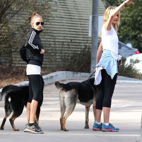 Nicole Richie und Cameron Diaz treffen sich in Hollywood, um mit ihren Hunden im Runyon Canyon Park Gassi zu gehen.