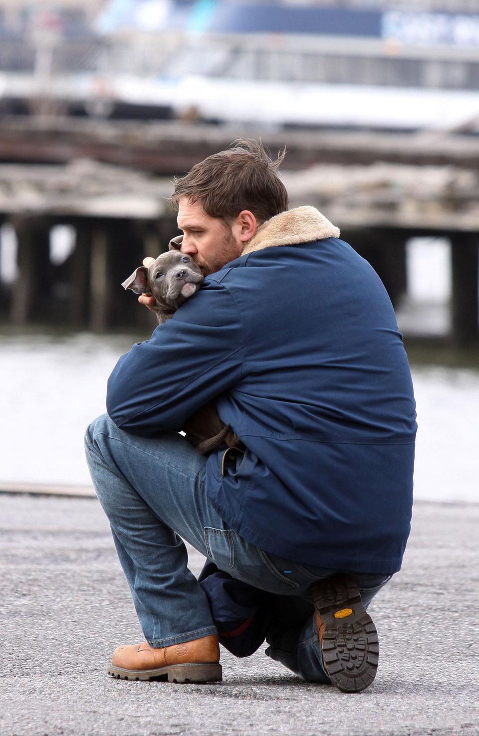 11. März 2013: Tom Hardy dreht gerade den Film "Animal Rescue" in Brooklyn. In dieser Szene scheint er genau das zu tun, was der Titel verspricht: Er rettet einen Pitbull.