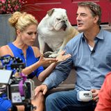 16. Oktober 2013: Chris Noth mach es sich bei Cat Greenleafs' "Talk Stoop" in Brooklyn bequem.