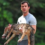 26. Juni 2013: Justin Theroux trägt für "The Leftovers" einen toten Hund.