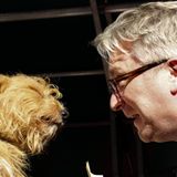 26. Oktober 2013: Prinz Laurent von Belgien kürt den schönsten Hund, den "Het Mooiste Zinneke" in Brüssel.