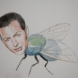Jeff Goldblum als Fliege