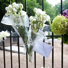 Die Niederländer gedenken Prinz Frisos mit Blumen und Briefen, die sie am Friedhofstor ablegen oder anklemmen. In den Tagen davor riss die Flut an kleinen Sträußchen, die an den Den Haager Palästen abgegeben wurden, nicht ab.