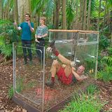 Tag 11  Daniel und Sonja freuen sich über die Kakerklakentruhe, während Jochen für eine Mahlzeit im Camp kämpft. Alle Infos zu "Ich bin ein Star - Holt mich hier raus!" im Special bei RTL.de: http://www.rtl.de/cms/sendungen/ich-bin-ein-star.html