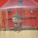 Tag 6  Für Winfried Glatzeder ist es die erste Dschungelprüfung. Alle Infos zu "Ich bin ein Star - Holt mich hier raus!" im Special bei RTL.de: http://www.rtl.de/cms/sendungen/ich-bin-ein-star.html
