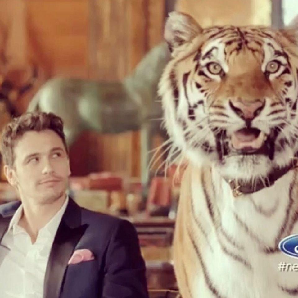 Schauspieler James Franco hat keine Angst vor großen Katzen - für einen aktuellen Werbespot drehte er sogar mit einem Tiger. Schauspieler James Franco hat keine Angst vor großen Katzen - für einen aktuellen Werbespot drehte er sogar mit einem Tiger.