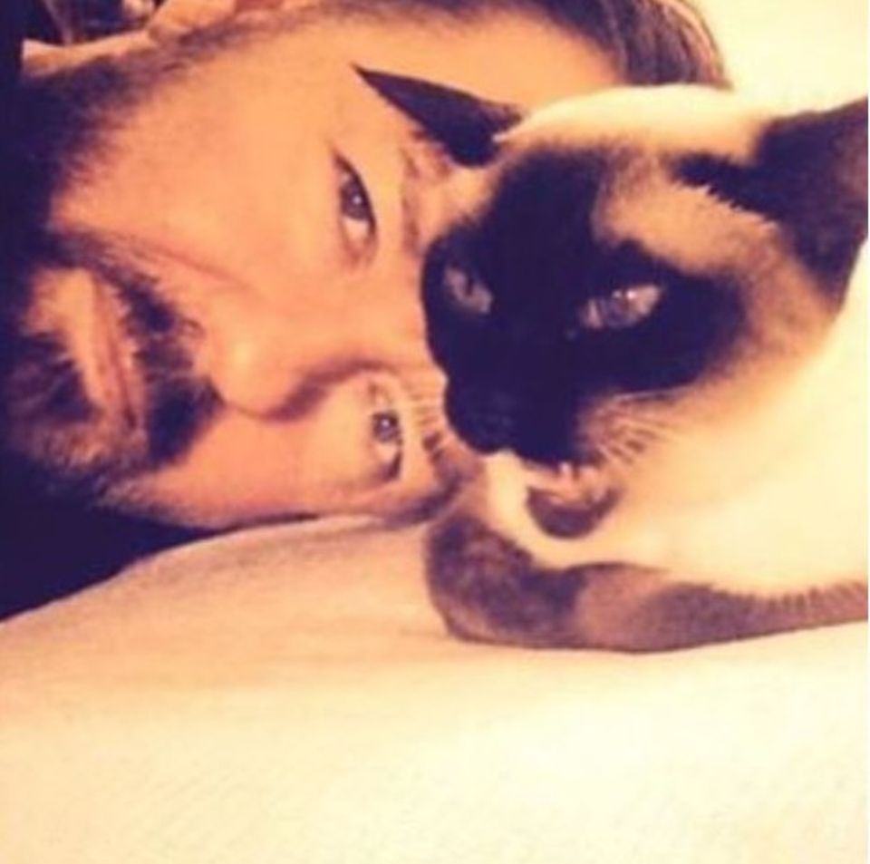 Ricky Gervais ist mächtig verliebt in seine Katze. Ihm gefällt dieses Bild so sehr, dass er dafür glatt sein altes Instagram-Profilbild austauscht. Ricky Gervais ist mächtig verliebt in seine Katze. Ihm gefällt dieses Bild so sehr, dass er dafür glatt sein altes Instagram-Profilbild austauscht.